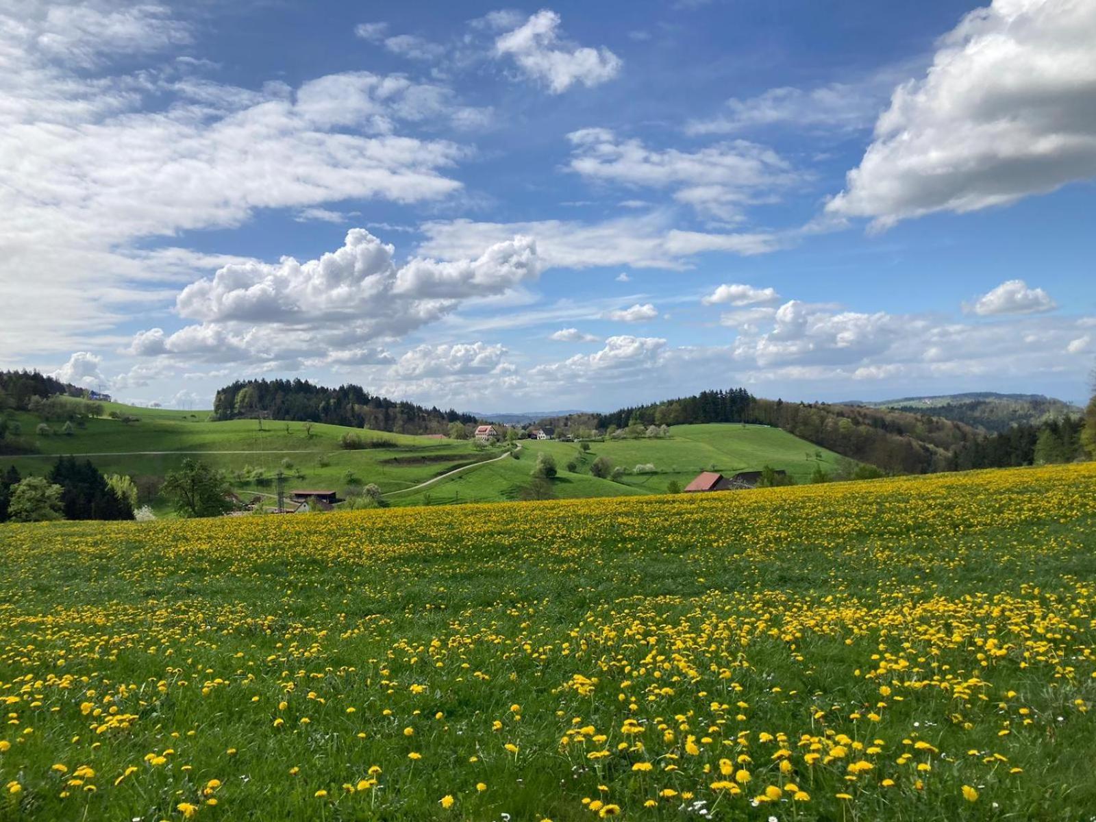 Отель Ferien Im Schwarzwald Фрайамт Экстерьер фото